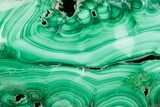Flowery Polished Malachite Specimen - DR Congo #360809-1